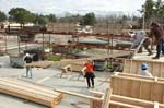 CarpenterAprentice--7684