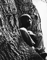 tree-of-life-2
